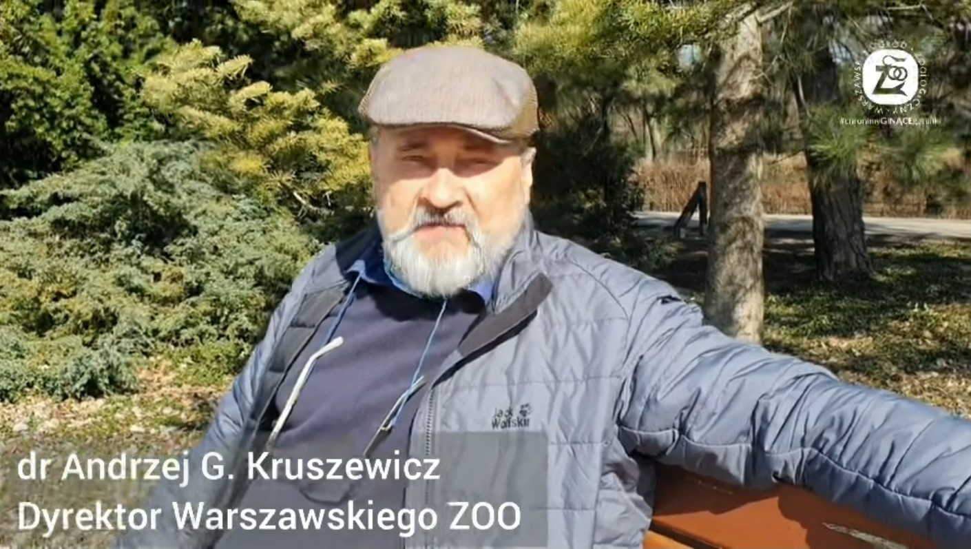 Andrzej Kruszewicz