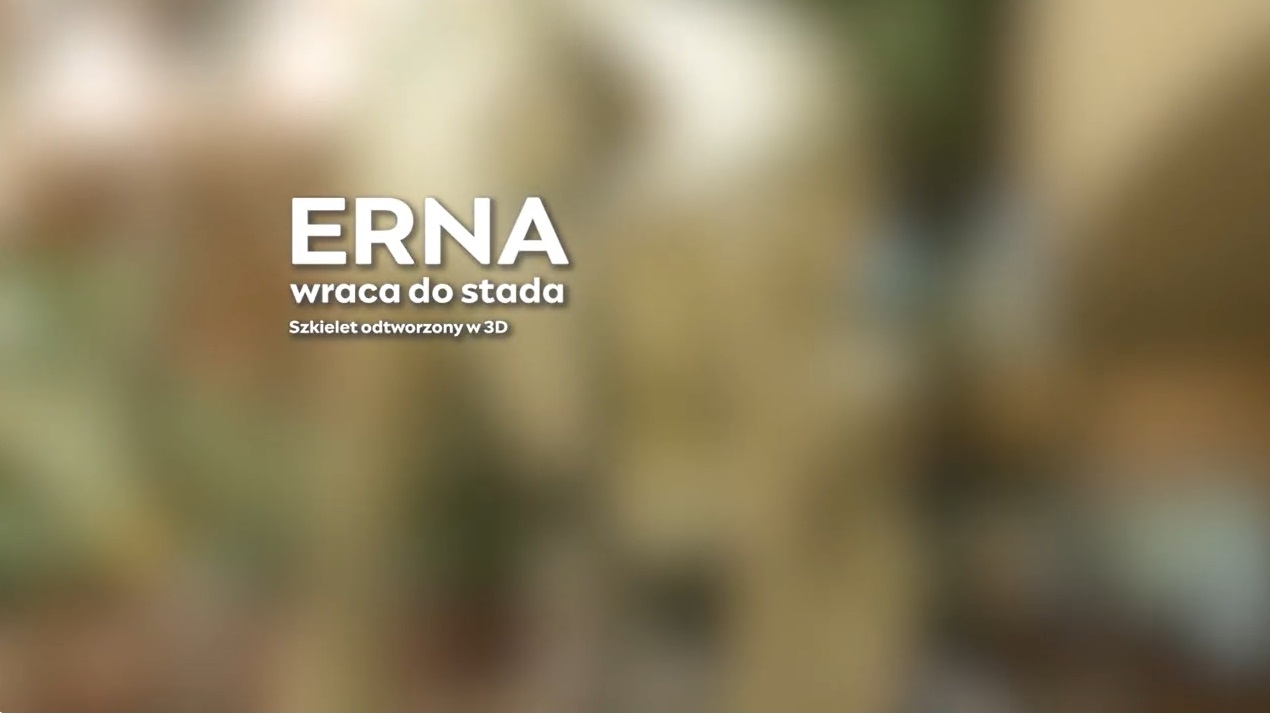Erna